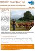 FARM VISIT : Vincent Besse s herd