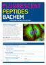 FLUORESCENT PEPTIDES. Outstanding Performance and Wide Application Range