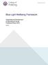 Blue-Light Wellbeing Framework