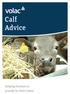 Calf Advice. Helping Farmers to provide for their Calves. Farmers