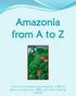 Amazonia from A to Z. Picture book created using Amazonia: A World Resource at Risk map, GRMC, Ball State University Libraries