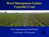 Weed Management Update: Vegetable Crops. Jed Colquhoun and Dan Heider University of Wisconsin