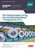 NEW. The Chinese Nickel, Ni Pig Iron and Stainless Market Prospects for