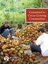 Committed to Cocoa-Growing Communities