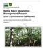 Nettle Patch Vegetation Management Project