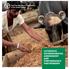 livestock environmental assessment and performance partnership