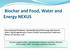 Biochar and Food, Water and Energy NEXUS