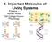 6- Important Molecules of Living Systems. Proteins Nucleic Acids Taft College Human Physiology