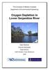 Oxygen Depletion in Lower Serpentine River