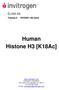 Human Histone H3 [K18Ac]