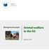 Background paper. Animal welfare in the EU