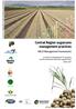 Central Region sugarcane management practices