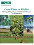 Gene Flow in Alfalfa: Biology, Mitigation, and Potential Impact on Production