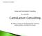CantoLarsen Consulting