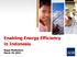 Enabling Energy Efficiency in Indonesia. Bagus Mudiantoro March 19, 2013