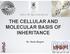 THE CELLULAR AND MOLECULAR BASIS OF INHERITANCE