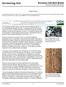 Screening Aid. European Oak Bark Beetle Scolytus intricatus (Ratzeburg) Joseph Benzel