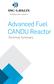 Advanced Fuel CANDU Reactor. Technical Summary