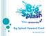 Big Splash Reward Card. The Informatics Team