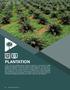 PLANTATION MANAGING DIRECTOR S REVIEW OPERATIONS