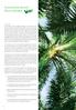 Plantation Review Palm & Rubber