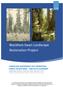 Blackfoot-Swan Landscape Restoration Project