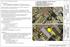 Bldg. 751 GOETTGE MEMORIAL FIELD HOUSE REFINISH GYM USMC CAMP LEJEUNE MAXIMO: FLOORING A-1 LOCATION & GENERAL DISCRITION