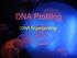 DNA Profiling. (DNA fingerprinting)