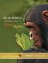 Ensuring a Future for. Great Apes