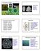 Classification of Algae. stoneworts. Diatoms. The broad algae classification includes: Bacillariophyta diatoms Charophyta stoneworts