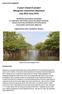 3 years research project Mangrove restoration Myanmar July 2012-June 2015