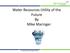 Water Resources Utility of the Future By Mike Maringer. Copyright quasar energy group