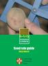 Seed rate guide. King Edward. Cambridge University Farm