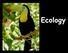 WHAT IS ECOLOGY? Ecology- the scientific study of interactions between organisms and their environments, focusing on energy transfer