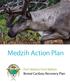 Medzih Action Plan. Fort Nelson First Nation Boreal Caribou Recovery Plan