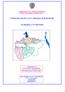 GOVERNMENT OF ANDHRA PRADESH WATER RESOURES DEPARTMENT CHINTHALAPUDI LIFT IRRIGATION SCHEME FEASIBILITY REPORT