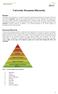 University Document Hierarchy