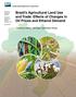 Brazil s Agricultural Land Use and Trade: Effects of Changes in Oil Prices and Ethanol Demand