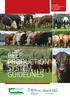 BEEF PRODUCTION SYSTEM GUIDELINES. Animal & Grassland Research & Innovation Programme