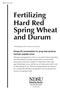 Fertilizing Hard Red Spring Wheat and Durum