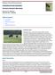 CONSERVATION GRAZING TECHNICAL GUIDANCE DOCUMENT. Table of Contents MINNESOTA WETLAND RESTORATION GUIDE INTRODUCTION. Species Characteristics CATTLE