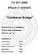 TA 201-MmE PROJECT REPORT. Cantilever Bridge