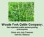 Woods Fork Cattle Company: Our experience with various grazing philosophies