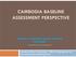 CAMBODIA BASELINE ASSESSMENT PERSPECTIVE