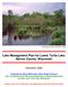 Lake Management Plan for Lower Turtle Lake, Barron County, Wisconsin