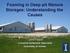 Foaming in Deep-pit Manure Storages: Understanding the Causes