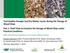 49th International Symposium on Forestry Mechanization