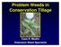 Problem Weeds in Conservation Tillage. Case R. Medlin Extension Weed Specialist