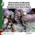 Understanding and Managing Aflatoxin Contamination in the Groundnut Value Chain in Nigeria