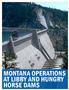 MONTANA OPERATIONS AT LIBBY AND HUNGRY HORSE DAMS